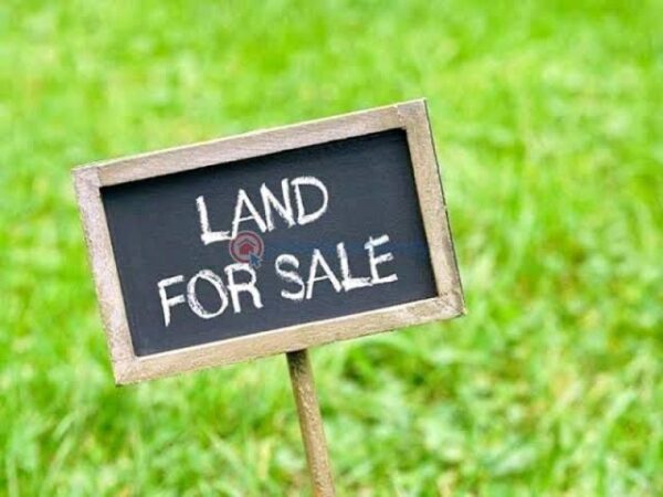 For Sale: Two (2) plots of land in a very secured, gated and organized Estate